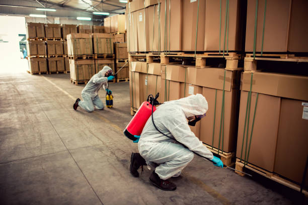 Trusted Wesley Chapel, FL Pest Control Experts