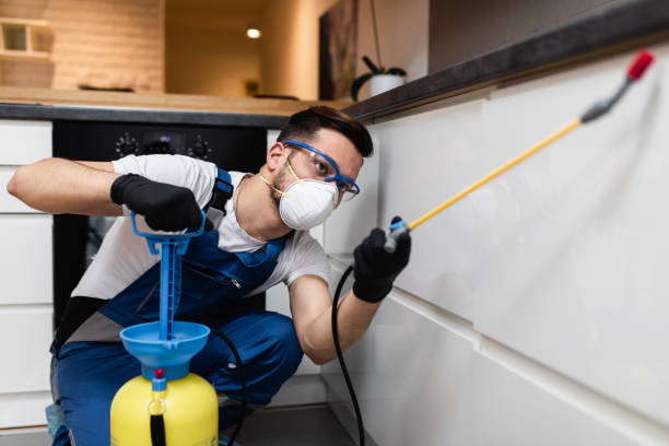 Pest Prevention Services in Wesley Chapel, FL