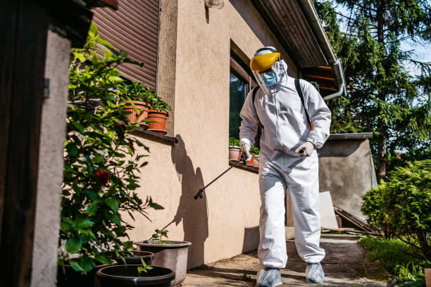 Best Affordable Pest Control Services  in Wesley Chapel, FL