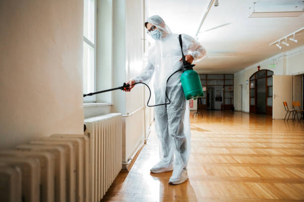 Best Pest Prevention Services  in Wesley Chapel, FL