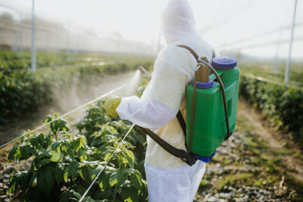 Pest Control for Restaurants in Wesley Chapel, FL